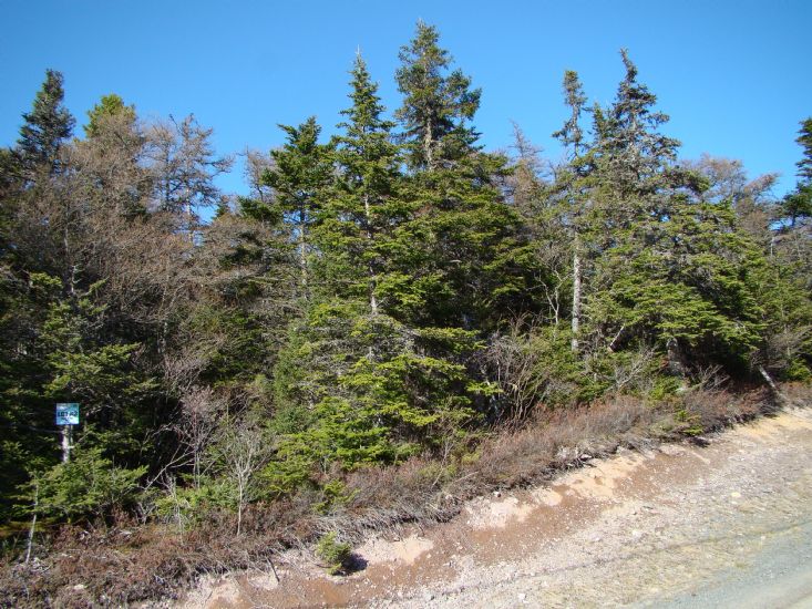 Lot 3 (Road View) 